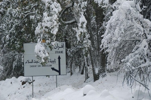 الأرصاد الجوية تحذر من تساقطات ثلجية نهاية الأسبوع