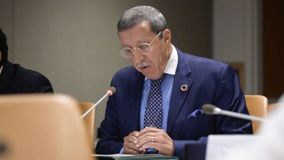 عمر هلال : إصلاح مجلس الأمن..المغرب مؤهل أكثر لتمثيل إفريقيا