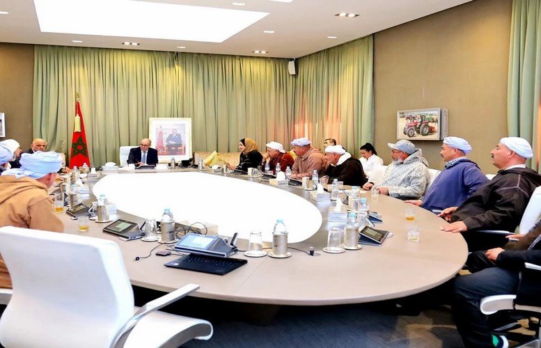 البواري يتعهد بدعم قطاع تربية المواشي