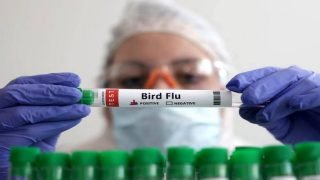 أمريكا تسجل أول حالة وفاة بشرية بإنفلونزا الطيور
