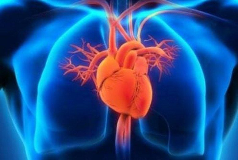 دراسة علمية … التفاعل الاجتماعي يقلل من خطر الإصابة بالنوبات القلبية