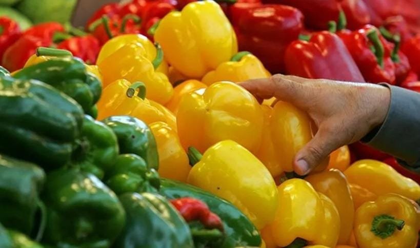 صادرات المغربية من الفلفل نحو اسبانيا تتجاوز 80 مليون كيلوغراما