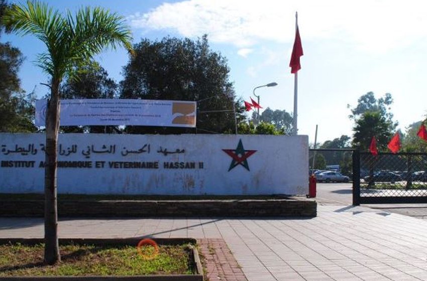 إنعقاد الدورة الـ 73 لمؤتمر الرابطة الدولية لطلاب الطب البيطري بالرباط