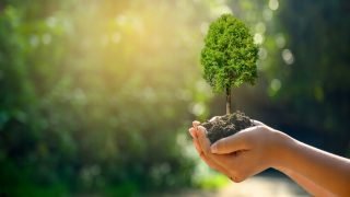 إطلاق الدورة ال 15 لجائزة الحسن الثاني للبيئة
