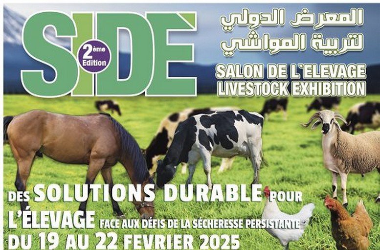 اختتام فعاليات النسخة الثانية لمعرض تربية المواشي بالجديدة