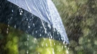 مقاييس الأمطار المسجَلة بالمملكة خلال ال24 ساعة الماضية