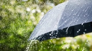 مقاييس التساقطات المطرية المسجلة بالمملكة خلال 24 ساعة الماضية.