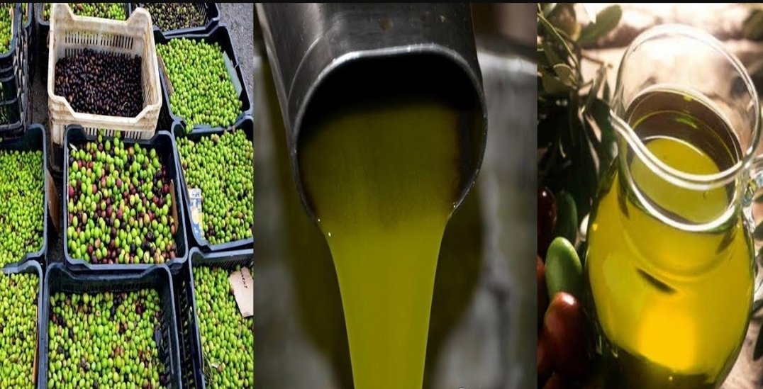 زيت الزيتون : تصدير متزايد وأسعار مرتفعة تزعج المواطن المغربي