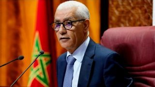 الطالبي العلمي يكشف معطيات جديدة بشأن استيراد المواشي ومواجهة غلاء اللحوم