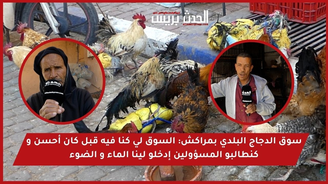 سوق الدجاج البلدي بمراكش: السوق لي كنا فيه قبل كان أحسن