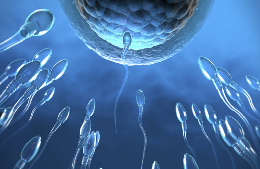 لماذا تتراجع معدلات الخصوبة حول العالم ؟