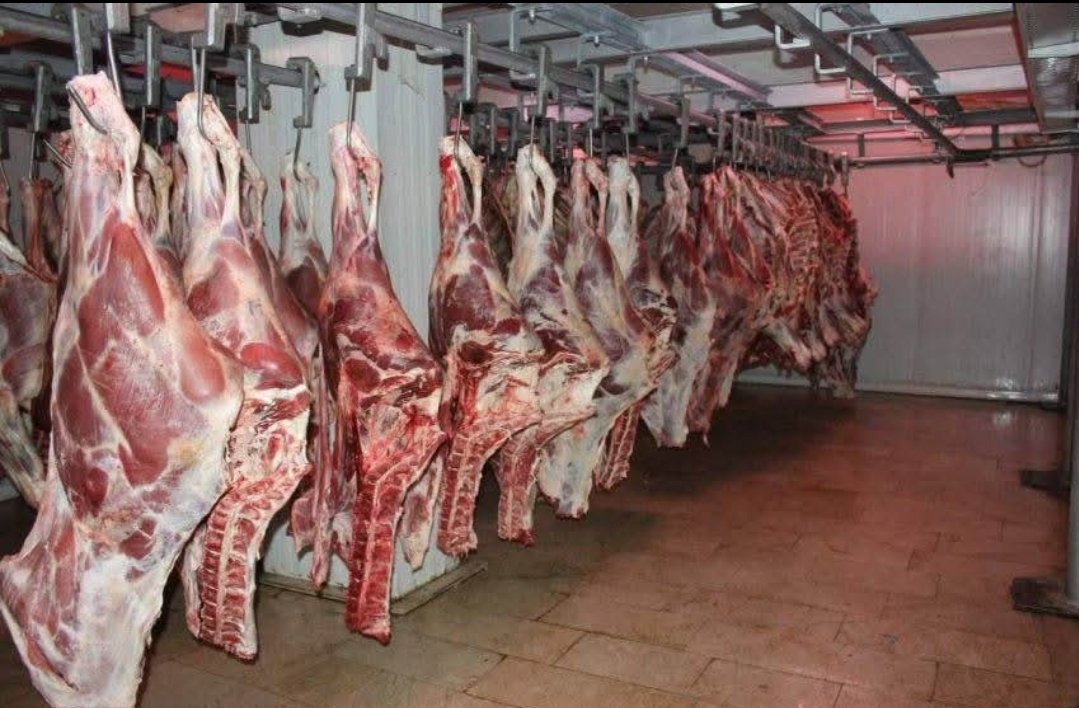 المغرب يفتح أبوابه أمام لحوم الأبقار البرازيلية