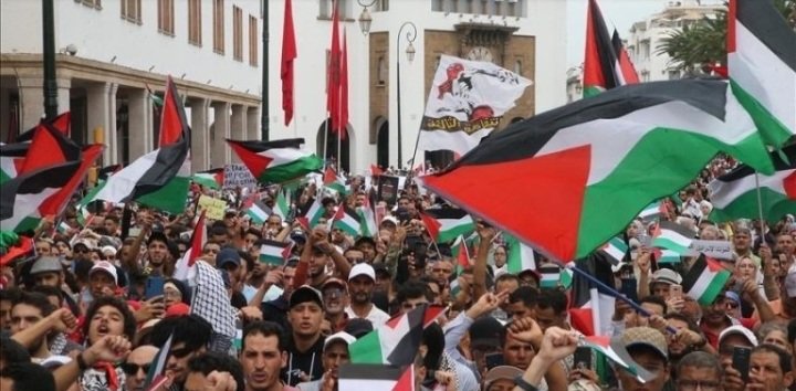 وقفات تضامنية حاشدة مع غزة.. لا للتجويع لا للتهجير لا للتطبيع
