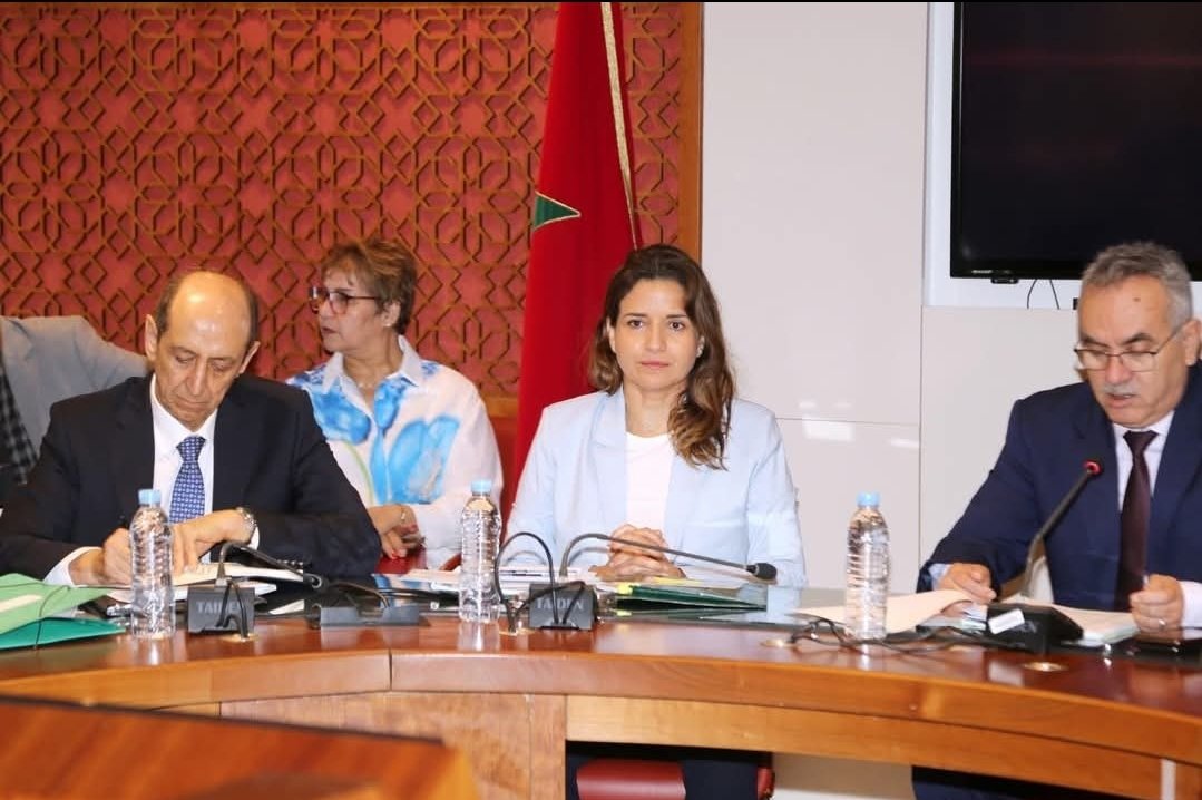 ليلى بنعلي: النجاعة الطاقية رهان سيادي يتطلب تعبئة جماعية وإصلاحًا عميقًا