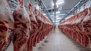 ارتفاع واردات المغرب من اللحوم الإسبانية في الربع الأول من 2025