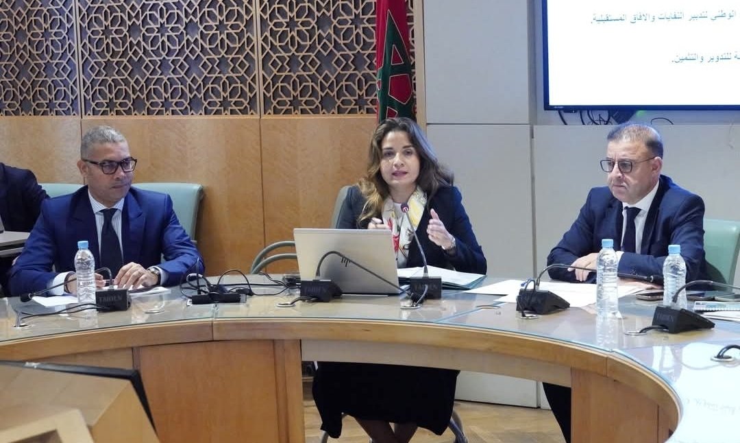 ليلى بنعلي: منح 136 رخصة لاستيراد مواد قابلة للتدوير لدعم الاقتصاد الدائري وتقليص التلوث