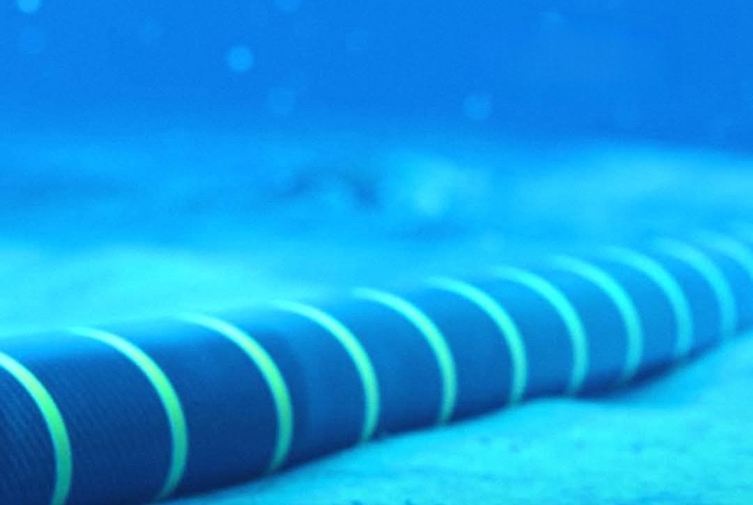 تفاصيل تخلي بريطانيا عن مشروع الطاقة مع المغرب