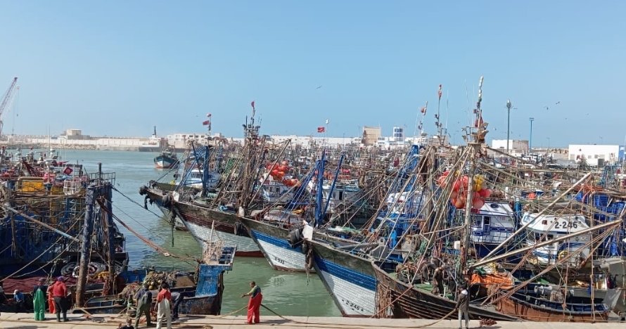 كتابة الدولة المكلفة بالصيد البحري تفند مزاعم تدمير الثروة السمكية بميناء العيون
