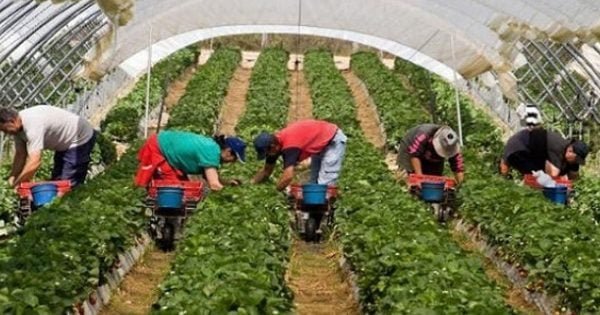 الطلب الداخلي يقود نمو الإقتصاد المغربي إلى 3,8% في 2024 رغم تراجع القطاع الفلاحي