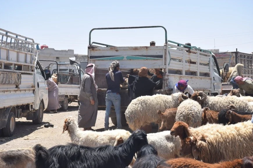 إرتفاع أسعار “الدوّارة” قبيل أيام قليلة عيد الأضحى يثير قلق المستهلكين