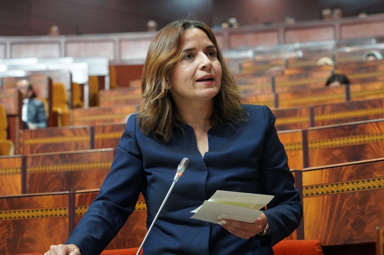 ندوة مغربية ألمانية في الرباط تستكشف تبادل الكهرباء المتجددة و تكامل الأسواق