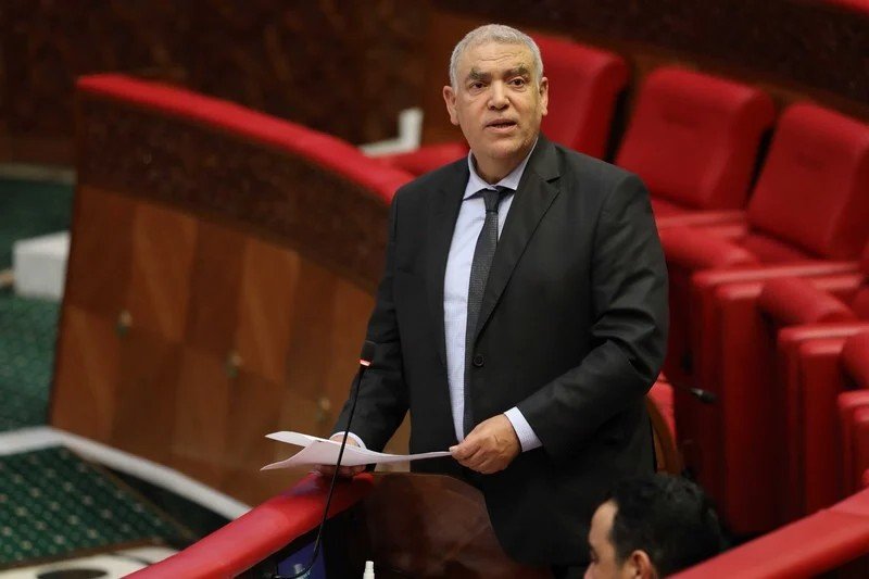 لفتيت: المغرب يتعرض لحملات ممنهجة بسبب الكلاب الضالة