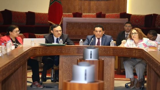 لجنة القطاعات الاجتماعية تناقش استراتيجية الحكومة في مجال التشغيل ومحاربة البطالة