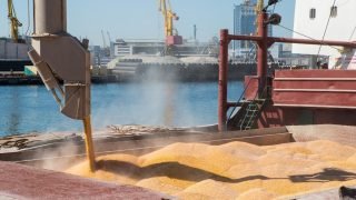 المغرب يعيد هيكلة وارداته من القمح مستفيدًا من تراجع الأسعار العالمية