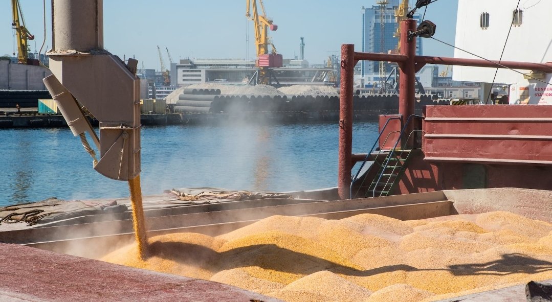 المغرب يعيد هيكلة وارداته من القمح مستفيدًا من تراجع الأسعار العالمية