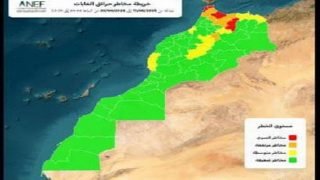 المياه والغابات تعتمد خرائط تنبؤية استباقية للتصدي لحرائق الغابات