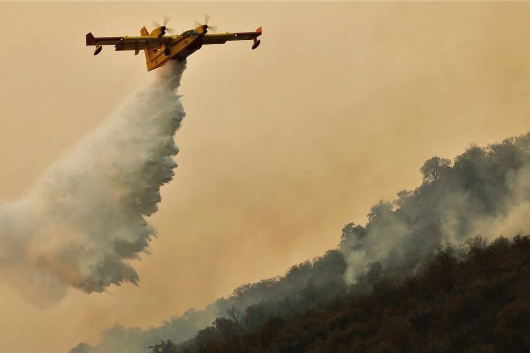 السيطرة على ثلاث بؤر من حريق دردارة بشفشاون وتواصل الجهود لإخماد الأخيرة