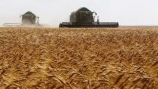 الفلاحة المغربية تثبت صمودها وتتفوق على الصناعات الغذائية في التصدير