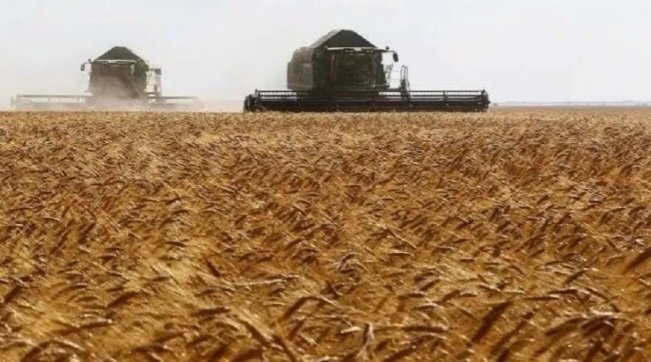 الفلاحة المغربية تثبت صمودها وتتفوق على الصناعات الغذائية في التصدير