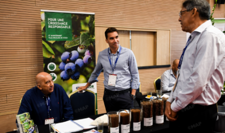 طنجة تحتضن الدورة الـ 38 للمؤتمر الدولي للفواكه الحمراء