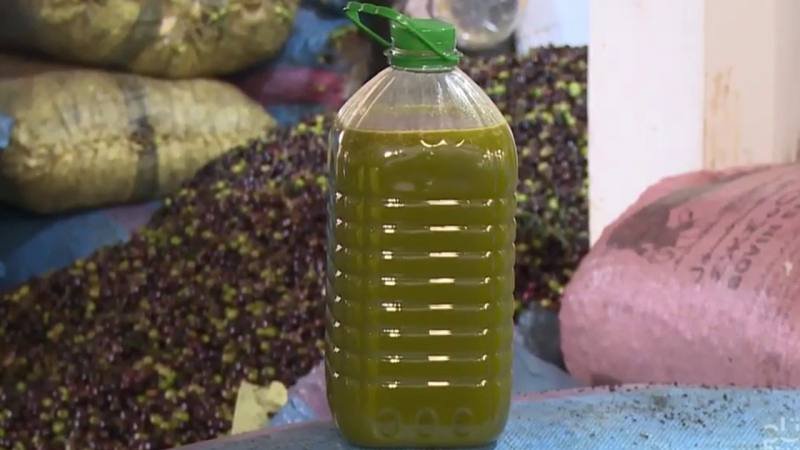 حماية المستهلك” تدق ناقوس الخطر بشأن معامل سرية لتصبير الزيتون وصناعة الهريسة