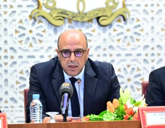 ولد الرشيد يتعهد بمراجعة مشروع قانون مجلس الصحافة المثير للجدل