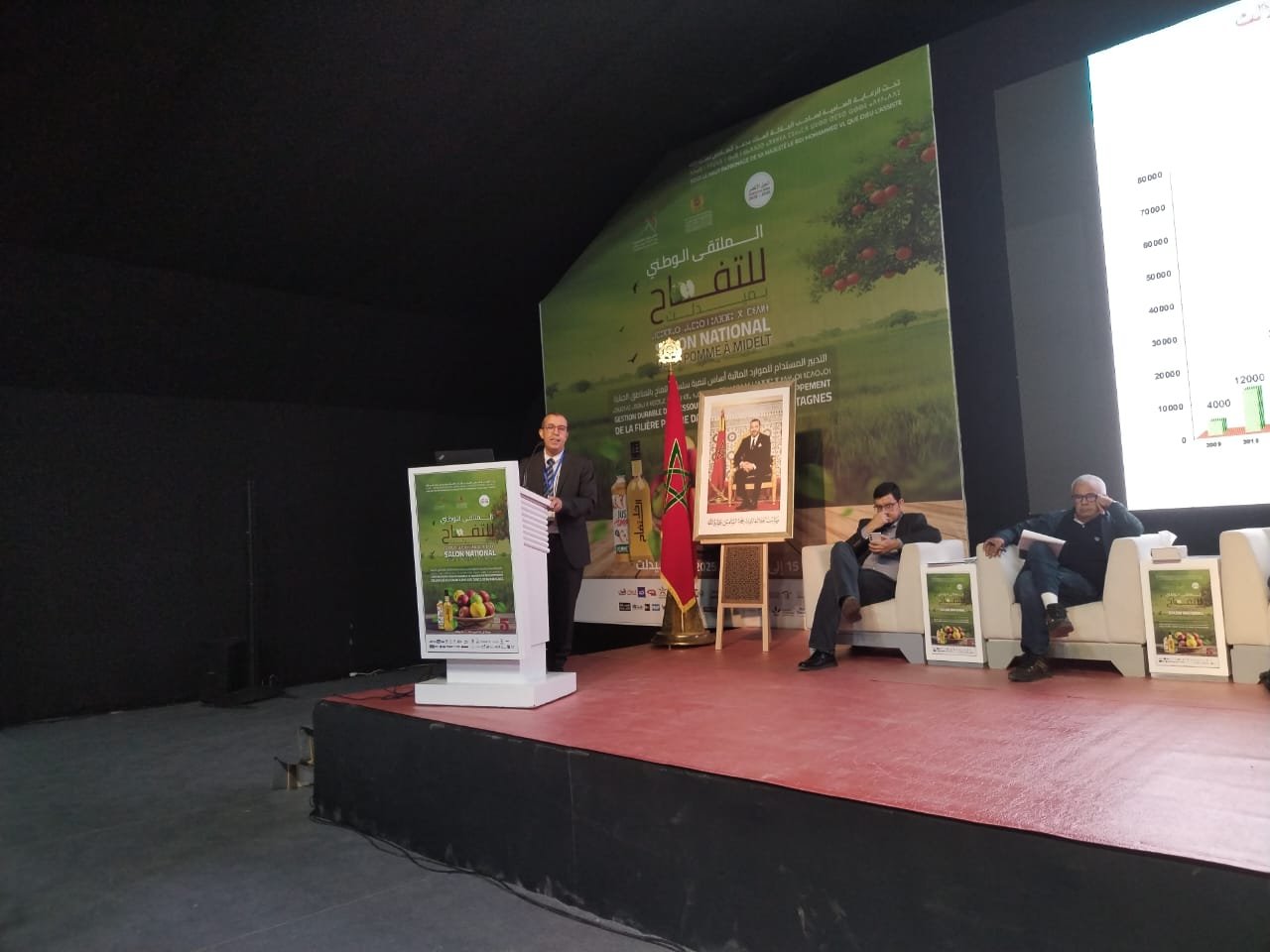 مصطفى العبدلاوي: تفاح درعة تافيلالت يشهد طفرة نوعية بفضل استراتيجية الجيل الأخضر