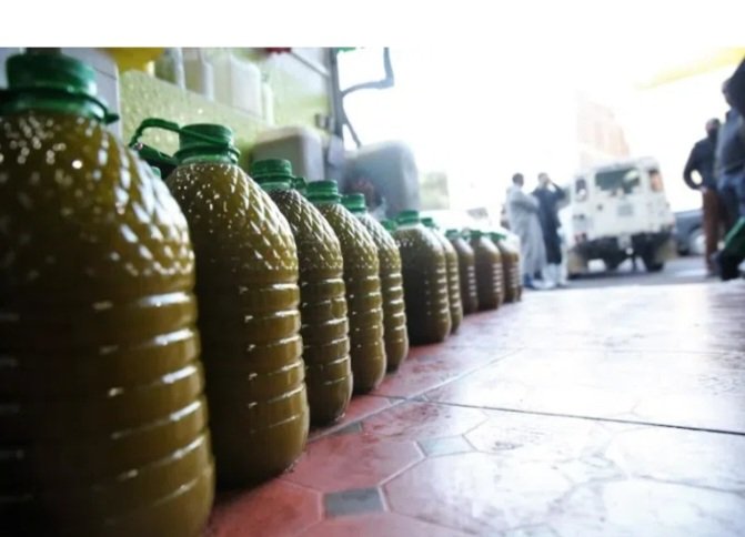 موسم زيتون واعد ..  إنتاج قياسي يرفع الآمال بانخفاض سعر الزيت