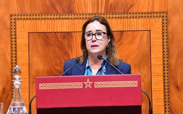 التامني تنتقد تصريحات بايتاس: “أرقام الحد الأدنى للأجور مغلوطة ولا تعكس الواقع”