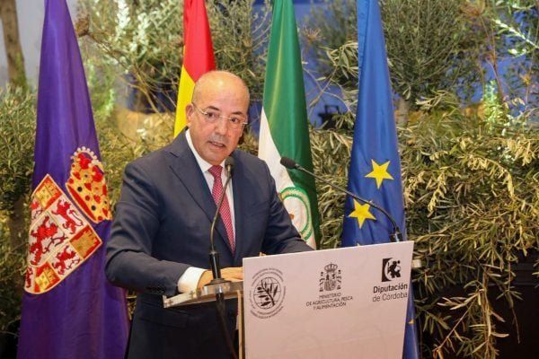 المغرب يتولى رئاسة المجلس الدولي للزيتون لعام 2026