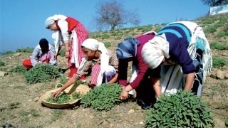 تمكين المرأة في المغرب.. الجمع بين الفرص والسياسات العملية-الحدث بريس