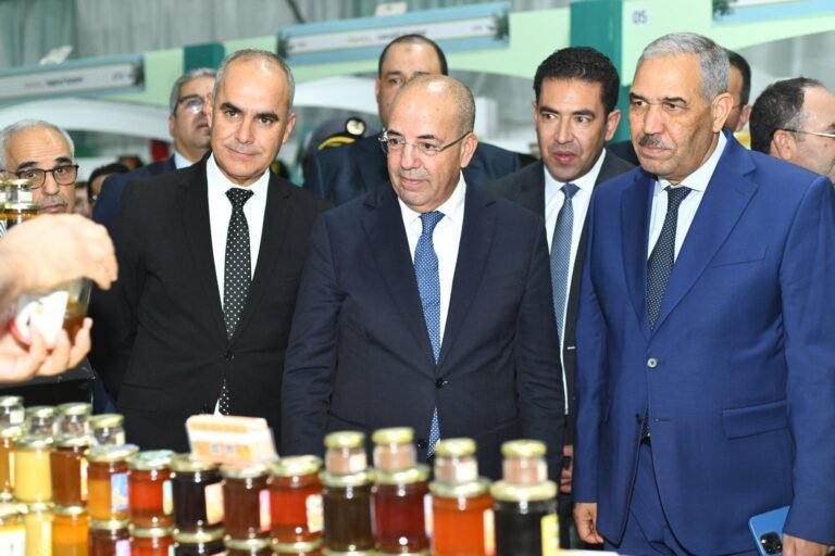 تازة أكنول تستعيد ألوان مهرجان اللوز..تجربة تربط بين الفلاحة والثقافة والرياضة