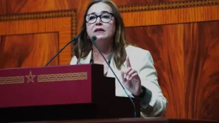 التامني تدعو لإصلاح الضرائب والرسوم لحماية الصحة وتمويل الخدمات العمومية