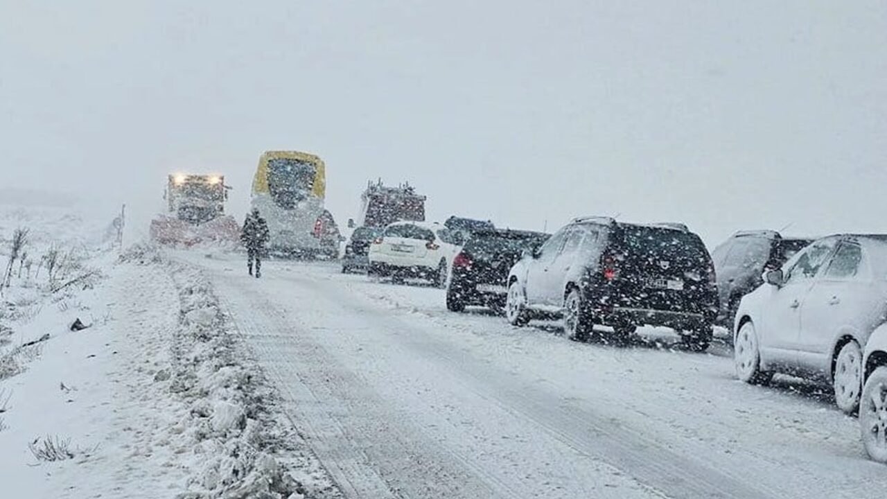 طقس بارد وضباب كثيف شمالًا ورياح محملة بالغبار بالجنوب اليوم الخميس