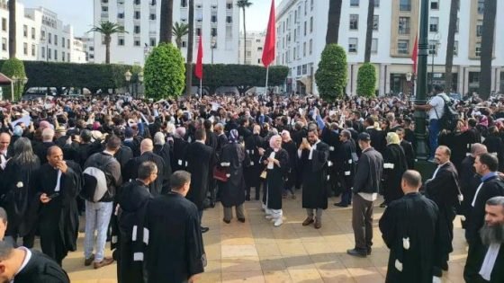 إضراب المحامين يفرغ محاكم المملكة… صدام حول مشروع قانون المحاماة واستقلالية المهنة