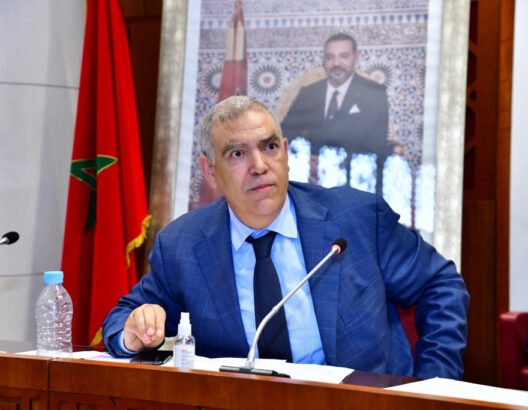 لفتيت يكشف حصيلة تنقيح اللوائح الانتخابية: 16.5 مليون مسجل وشطب 1.4 مليون اسم