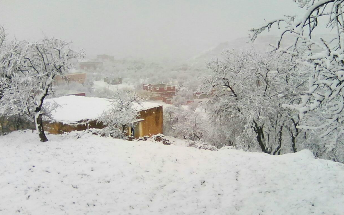 توقعات أحوال الطقس لليوم السبت