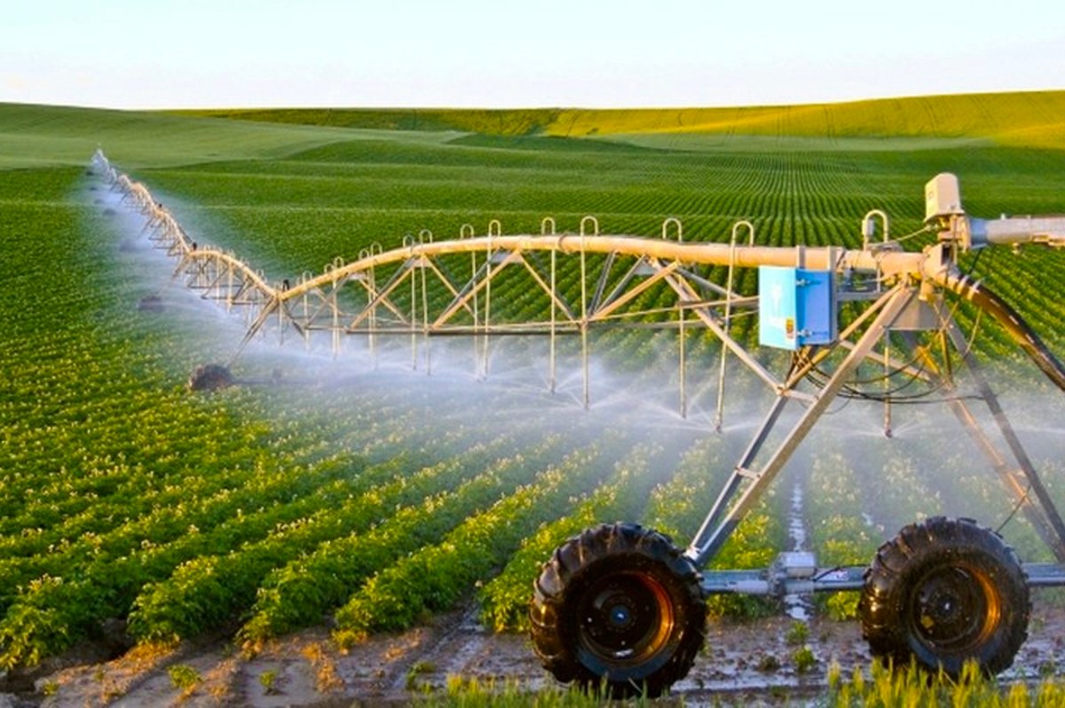 سهل اللوكوس: أمطار وفيرة تَعِدُ بموسم فلاحي ناجح وتضع تصريف المياه أمام اختبار حاسم