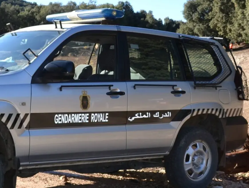 تفكيك شبكة ترويج مخدرات بتمنصورت.. الدرك الملكي يطيح ببارون “الشيرا” و“الكيف”