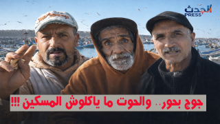 أسعار السمك تحت المجهر.. شهادات حية من قلب ميناء الصيد